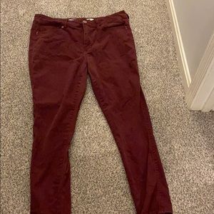 Maroon jeans